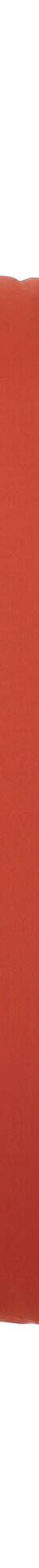 Taie d'oreiller coton, personnalisable  (terracotta) Taie d'oreiller coton, personnalisable  (terracotta)